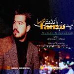 دانلود آهنگ جدید مهدی نیک اندیش به نام ته نیا