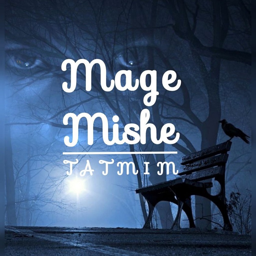 دانلود آهنگ جدید تمیم به نام مگه میشه